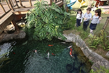 Parque Pedagógico Sustentável