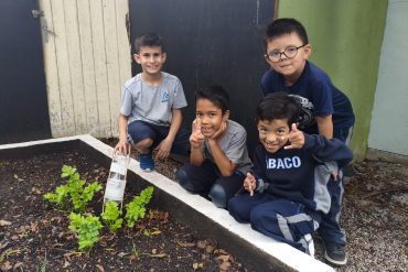 Tecnologia Sustentável | Unidade Ipiranga – Projeto de Irrigação Ecológica do 2º ano